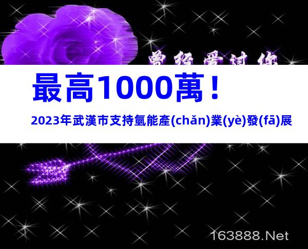 最高1000萬！2023年武漢市支持氫能產(chǎn)業(yè)發(fā)展財政資金申報主體、流程及材料